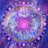 Dr. Legalize - Promo mix for Universe Vibrations. Vibronica party 2015