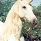 Selfie Unicorn Zombie Apocalypse Remix