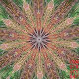 Construct #047