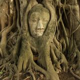 Majectic dub Seshan