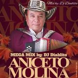 Aniceto Molina Mega Mix (2015)