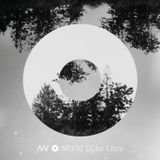 MIX10 Duba Libre (2011)