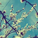 Primavera Deep 2012 (Part 2)