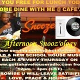 4.25.2013 Afternoon Snooz'ology Show Part 3 @ Gottahavehouseradio Chicago