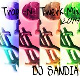 Trap-n-Twerk Mix 2014