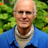 An Interview with Robin Murray, A Leader in the Fair Trade Movement