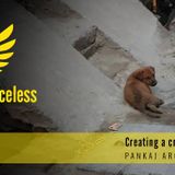 Guardians of the voiceless - helping animals in India