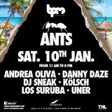 Kolsch - Live At ANTS, Blue Parrot (The BPM Festival 2015, Mexico) - 10-Jan-2015