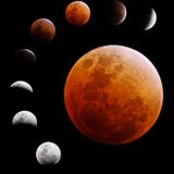 Lunar Attractions