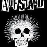 BSR Posdcast 04-13 (Ausfand 3)