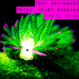 Tony Dominguez - Tribal House Session (April 2016)