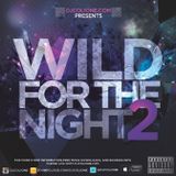 DJ COLIONE PRESENTS WILD FOR THE NIGHT 2 2013
