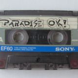 PROMO MIX PARADISE DISCO MOBILE VOL.3. Mixed by DJ CASH ----Solo vinilos!!