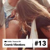 Cosmic Vibrations 6.13 paranoise radio 29.02.2016