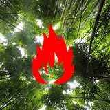 Wicked Nature