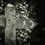 Forward Ever > Backward Never (Part 1)