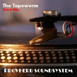01JUN13 - Tapeworm Mini Mix - Provherb Soundsystem
