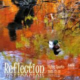 Reflection (Flying Sparks 2015-12-31)