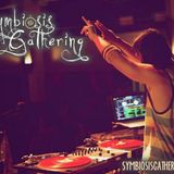Symbiosis 2013 Set @ Pantheon Stage