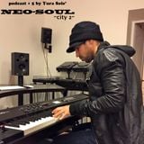 yurasole' podcast # 5 neosoul "city 2" 04.01.2015