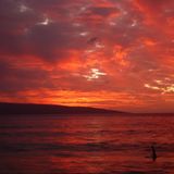 Mauricio Zuniga - Maui NYE 2000