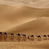 Mo'Jazz 91 : Caravan