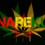 Nareku - Raggatek Minimix