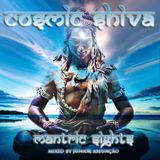 Cosmic Shiva @ Mantric Sights