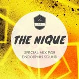 THE NIQUE - Special Mix For ENDORPHIN SOUND
