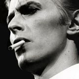 Ziggy Bowiez & Stardust Girlz