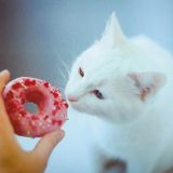 Donuts(7inch Only Mix)