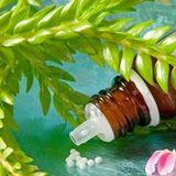 Découverte : L'invité du jour nous parle d'Homéopathie