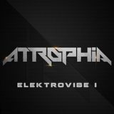 Elektrovibe I