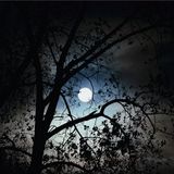 Es-Cee - Full Moon - 29/03/2014
