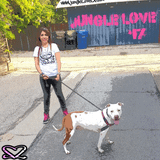 JungleLove 17