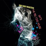 FUNKY HONKY PRESENTS THE MELTING HOUSE VOL. 1