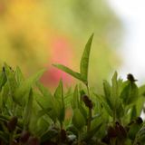 for the beautiful soul Tal  R.I.P