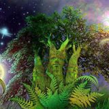 Ka Sol In and friends on Cronicle Mistery tour