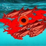 Red Herring