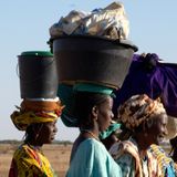Voices from the Field - Senegal
