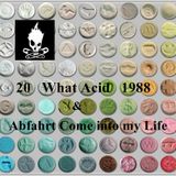 20 What Acid 1988 & Abfahrt Come into my Life (SMILE)