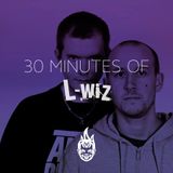 30 Minutes of Bass Education #19 - L-Wiz