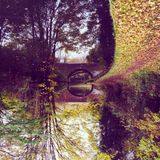 Autumnal Ephemera vol 3