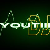 Electro House Mix 29