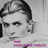 David Bowie Tribute