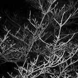 The Sound(3/03/2013)