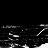 Bleached Bones Beach Disco