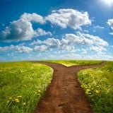 Réflexion psychosophique sur : L'essence de la liberté