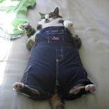 Lumps In the Mattress2