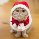 FIRST DEEP HOUSE SENSATIONS OF DECEMBER 2015 (PART 02)